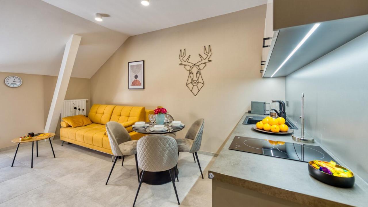 Apartamenty Vip Zdrojowa 6 Świeradów-Zdrój 外观 照片